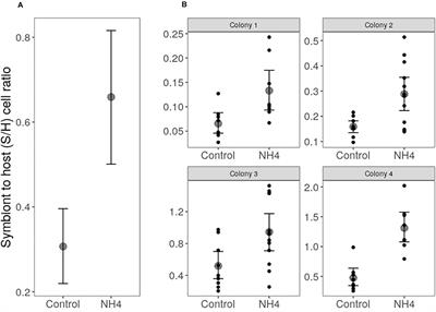 Increased Algal Symbiont Density Reduces Host Immunity in a Threatened Caribbean Coral Species, Orbicella faveolata